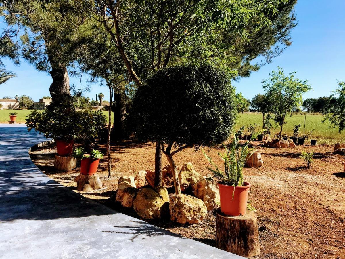 Holiday home Ca Na Brila